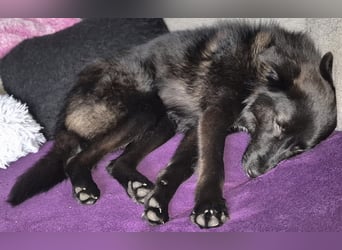 Whoopi - hat ein großes Herz