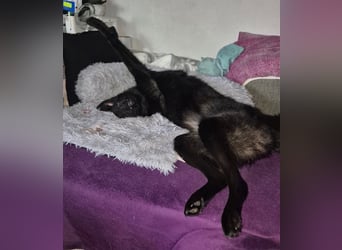 Whoopi - hat ein großes Herz