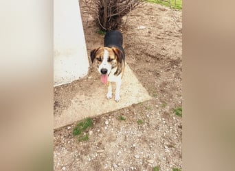 Mailo - auf Körbchensuche