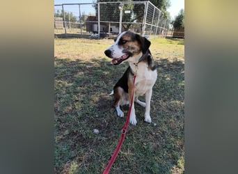 Mailo - auf Körbchensuche