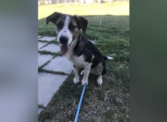 Mailo - auf Körbchensuche