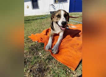 Mailo - auf Körbchensuche