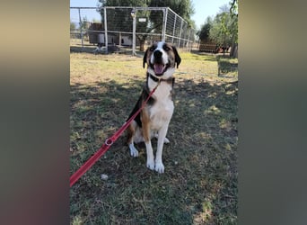 Mailo - auf Körbchensuche