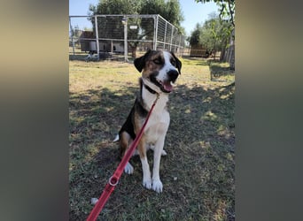 Mailo - auf Körbchensuche