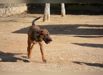 ❤️ CAPITANA ❤️