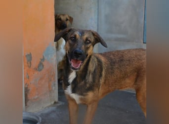 ❤️ CAPITANA ❤️