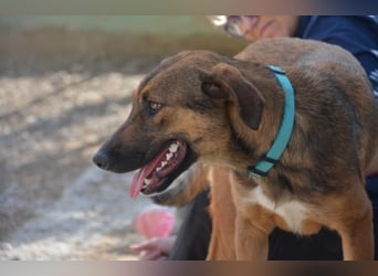 ❤️ CAPITANA ❤️