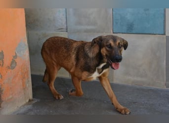 ❤️ CAPITANA ❤️