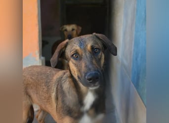 ❤️ CAPITANA ❤️