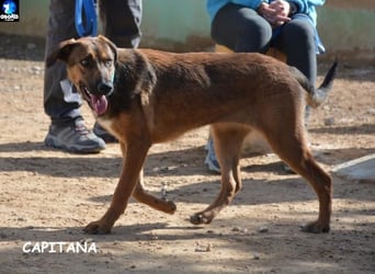 ❤️ CAPITANA ❤️