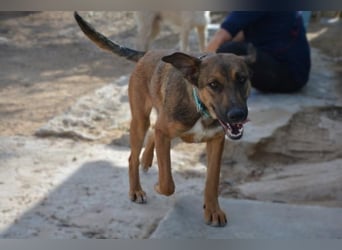 ❤️ CAPITANA ❤️