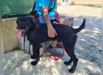 ❤️ SIRIUS❤️