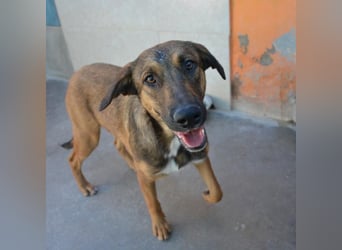 ❤️ CAPITANA ❤️