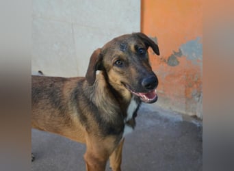 ❤️ CAPITANA ❤️