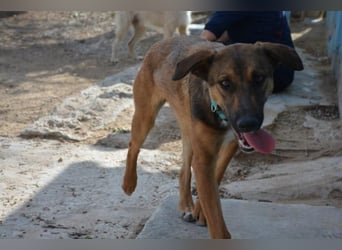 ❤️ CAPITANA ❤️