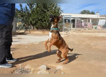 ❤️ CAPITANA ❤️