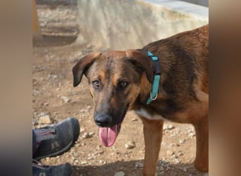 ❤️ CAPITANA ❤️