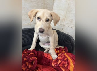 Yunis - bereit fürs große Glück ❤️