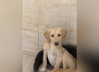 Yunis - bereit fürs große Glück ❤️