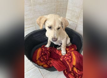 Yunis - bereit fürs große Glück ❤️