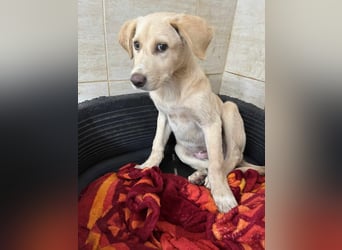 Yunis - bereit fürs große Glück ❤️