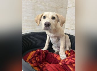 Yunis - bereit fürs große Glück ❤️