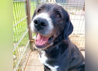 Nanda - schüchternes Mädel