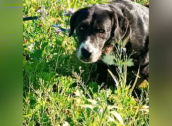 Nanda - schüchternes Mädel