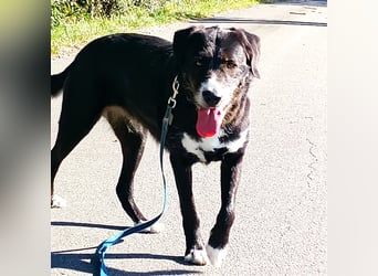 Nanda - schüchternes Mädel