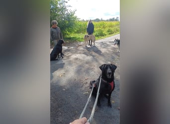 Nanda - schüchternes Mädel