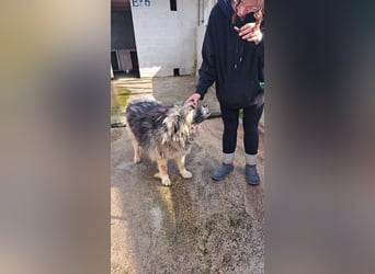 Argo sucht seine Menschen