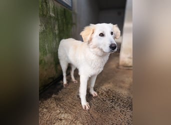 Adele möchte ankommen