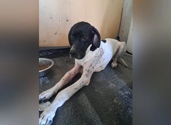 Lucio unser Kämpfer