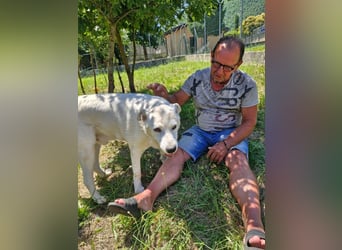 Casper sucht seine Herzensmenschen