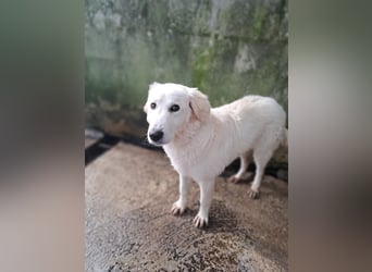 Adele möchte ankommen