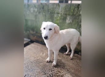 Adele möchte ankommen