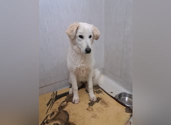 Adele möchte ankommen