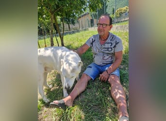 Casper sucht seine Herzensmenschen