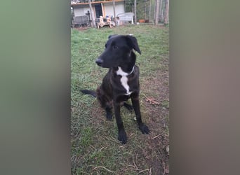 Fanny möchte ankommen