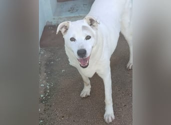Casper sucht seine Herzensmenschen