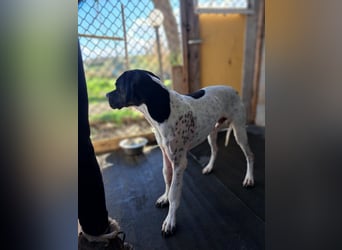 Lucio unser Kämpfer