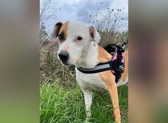 Pate für Sabrina gesucht