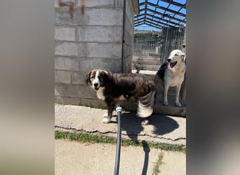Romy sucht ihr Glück