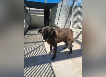 Bruno sucht sein Gnadenplätzchen