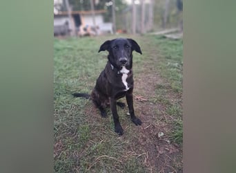 Fanny möchte ankommen