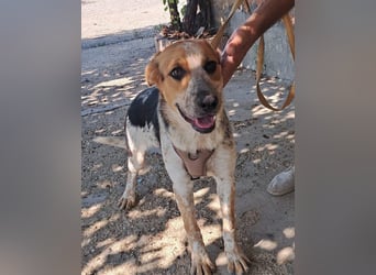 Hermes sucht seine Menschen