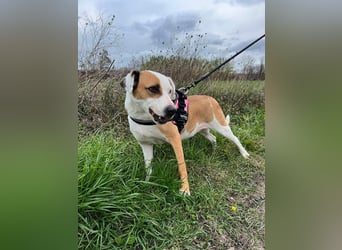 Pate für Sabrina gesucht