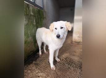 Adele möchte ankommen