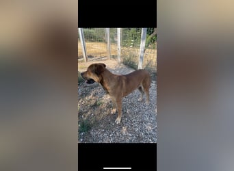 Frank wartet auf sein Zuhause