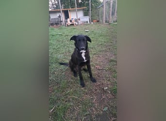 Fanny möchte ankommen